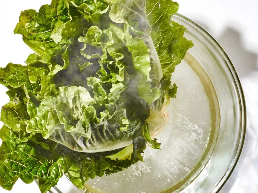 Why Does Lettuce Become Crisp When Soaked in Water