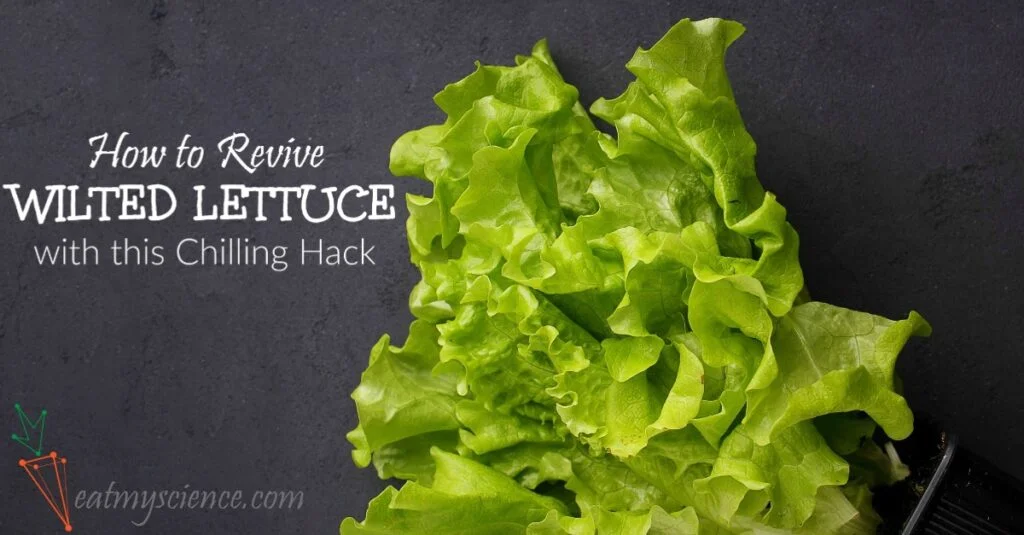Why Does Lettuce Become Crisp When Soaked in Water