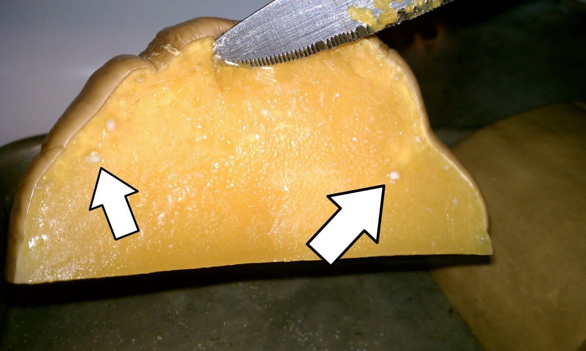 Why is my acorn squash white inside? Why is my acorn squash white inside?