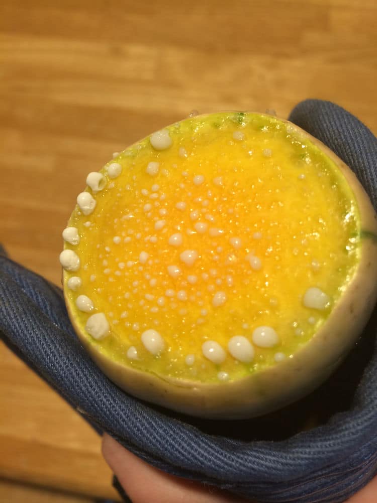 Why is my acorn squash white inside? Why is my acorn squash white inside?