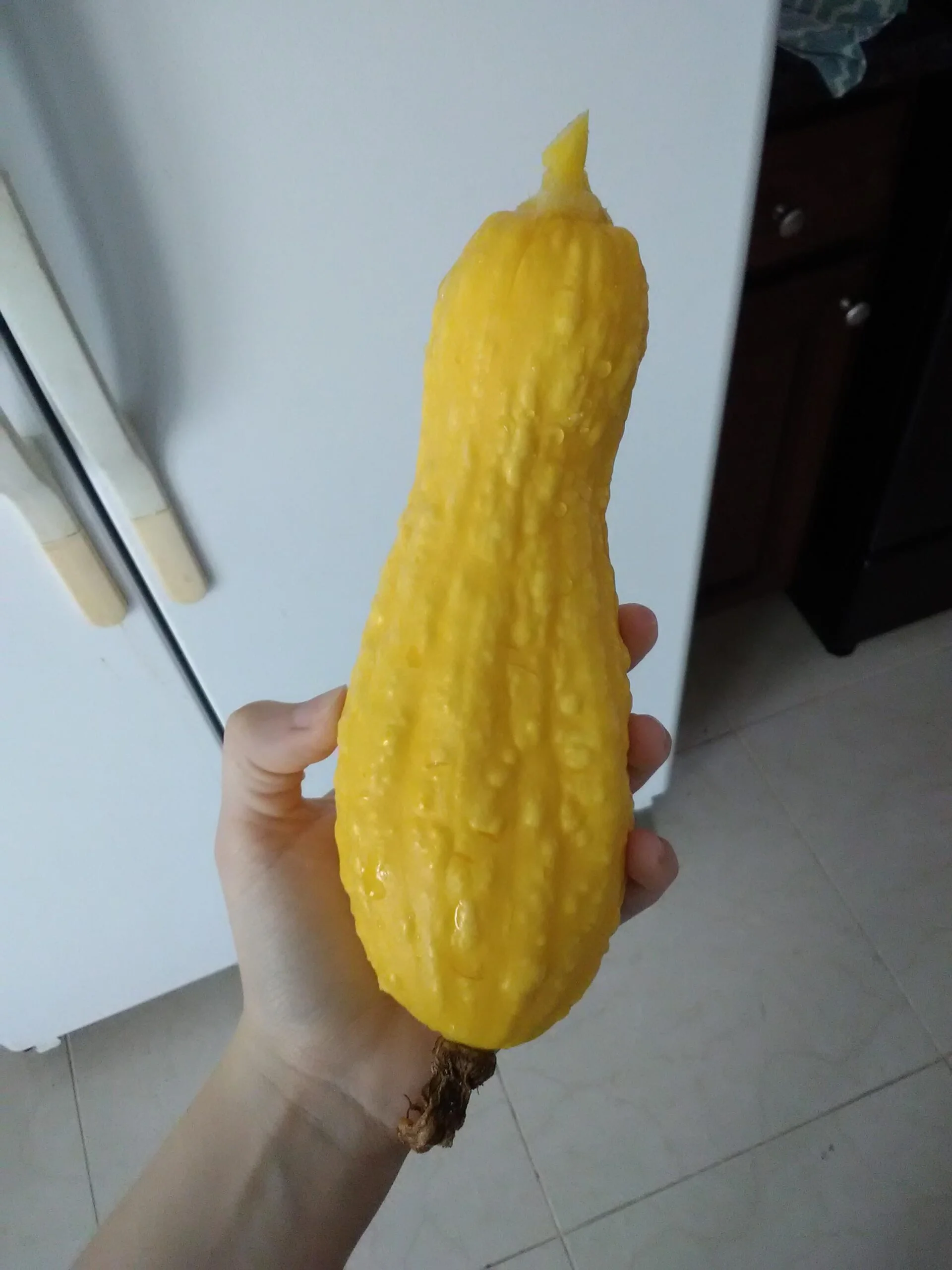 Why is my yellow squash bumpy?
