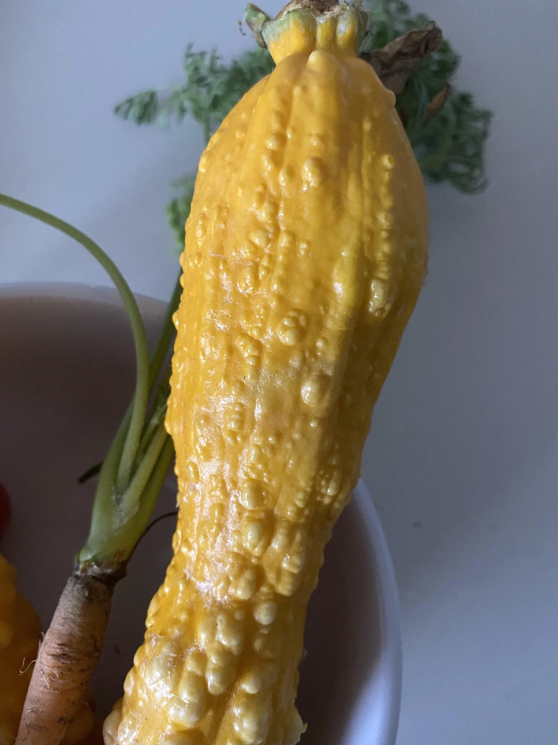 Why is my yellow squash bumpy?