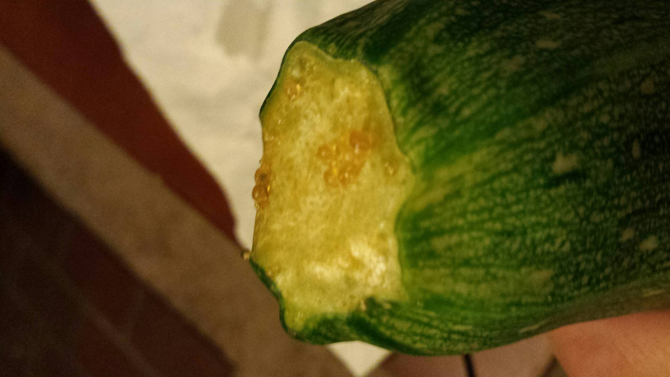 Why is my zucchini slimy? Why is my zucchini slimy?